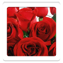 Roses HD Wallpapers иконка