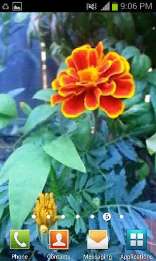 3D Garden Live Wallpaper Free screenshot 2