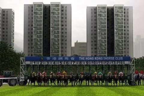 iHorse Betting 2 screenshot 4