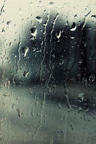 Rain iPhone Live Wallpaper  Download on PHONEKY iOS App