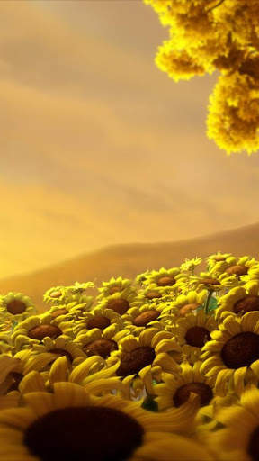 Flower Love Wallpapers 2 تصوير الشاشة