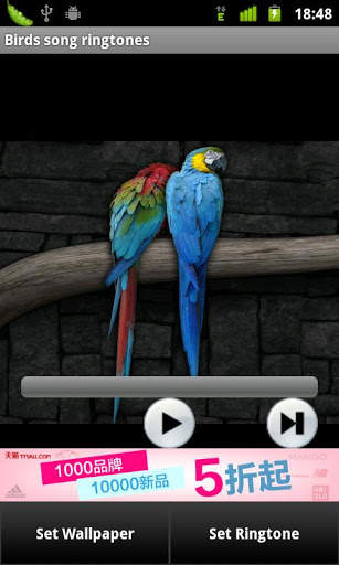Birds song ringtones screenshot 2