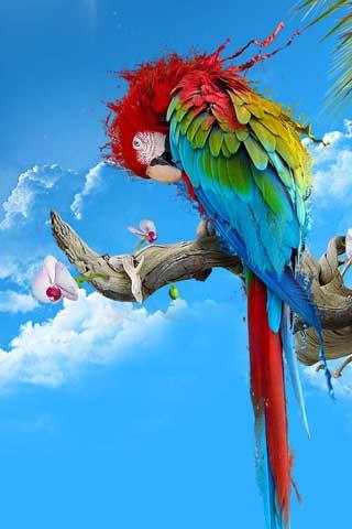 Birds song ringtones screenshot 5