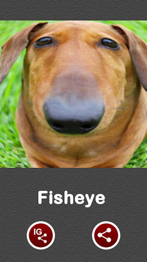 Fisheye Camera for Instagram screenshot 2