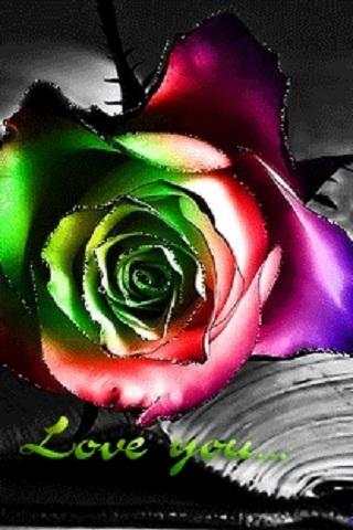 Love You Neon Rose Live Wallpa screenshot 1