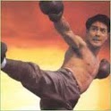 Jet Li Born To Defense icon