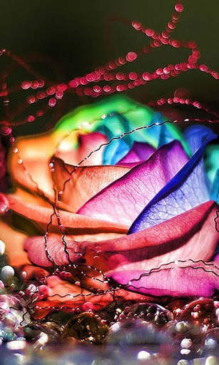 Galaxy S3 Rain Roses 1 تصوير الشاشة