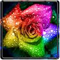 Galaxy S3 Rain Roses on 9Apps
