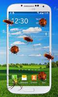 Funny Screen Spider screenshot 2