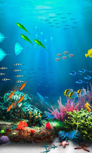 Underwater World Livewallpaper screenshot 2