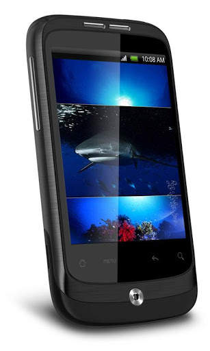 Hungry Shark HD Live Wallpaper screenshot 2