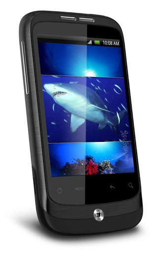 Hungry Shark HD Live Wallpaper screenshot 3