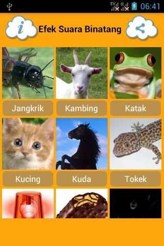 Efek Suara Binatang screenshot 2