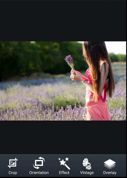 Selfie Filter Camera 6 تصوير الشاشة