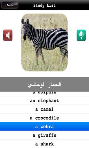 Learn Arabic Quick screenshot 2