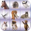 Onet Animal Connect icon