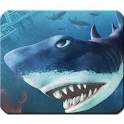 Hungry Shark Evolution Free Fan 1.00