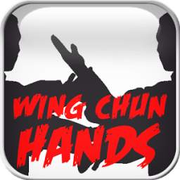 Wing Chun Hands