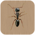 Ants Live Wallpaper icon