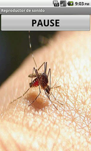 No mosquitoes screenshot 2