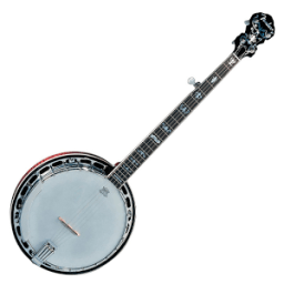 ikon Virtual Banjo