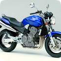 Crazy Bikes Photo 1.1