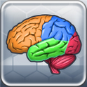 More Brain Exercise Lite icon