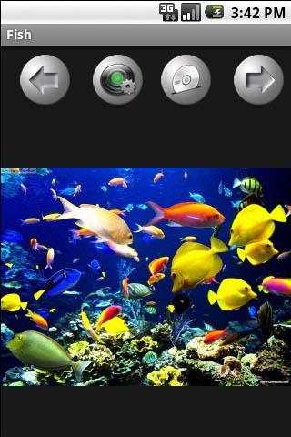 FishWallpapers screenshot 3