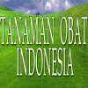 Tanaman Obat Indonesia