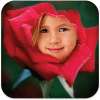 Photos In Flowers on 9Apps