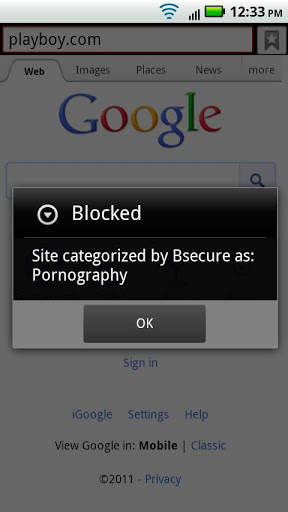 Bsecure Mobile Browser screenshot 2