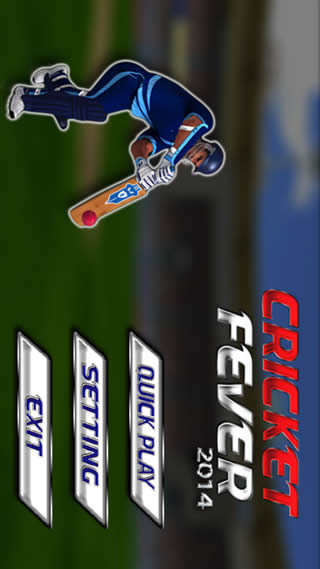 Cricket Fever 2014 screenshot 1