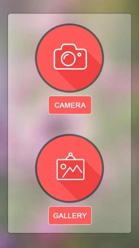 Photo Background Erase/Changer скриншот 3