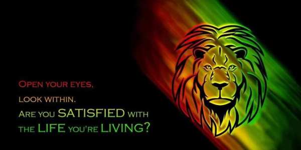 Rasta Reggae Theme screenshot 1