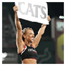 Cincinnati University Cheerleaders icon