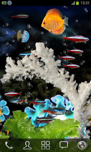 Aquarium Neon Fish Free LWP 2 تصوير الشاشة