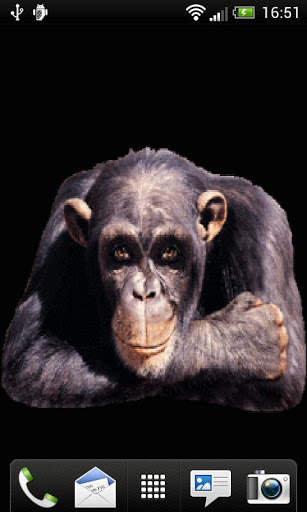 Yes Monkey screenshot 1