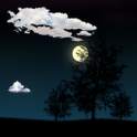 Y.E.S LTD LiveWallpaper NightSky 1.0