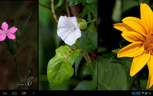 Fotolio screenshot 3