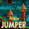 Ninja Jumper