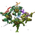 TMNT Ninja Turtle Wallpapers icon