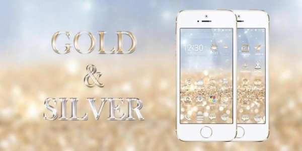 Gold and Silver Theme screenshot 4