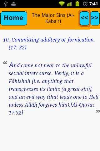 Major Sins In Islam screenshot 4