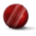 Book Cricket icon