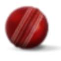 Book Cricket 0.6