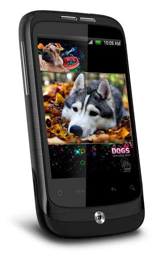 Funny Dogs HD Live Wallpaper screenshot 1
