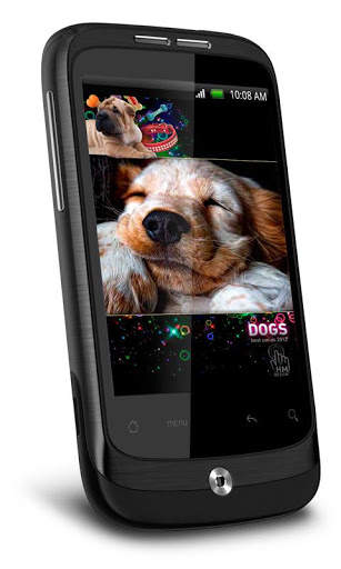 Funny Dogs HD Live Wallpaper screenshot 2