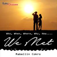 Novel Cinta We Met
