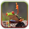 Funny Pics LOL Photo 1.0
