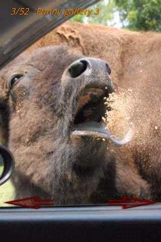 Funny Pics LOL Photo screenshot 1